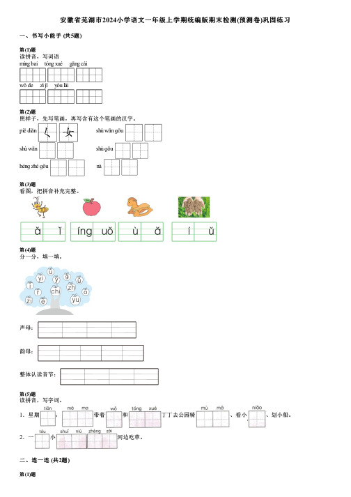 安徽省芜湖市2024小学语文一年级上学期统编版期末检测(预测卷)巩固练习