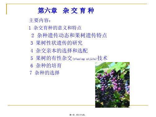 果树育种学