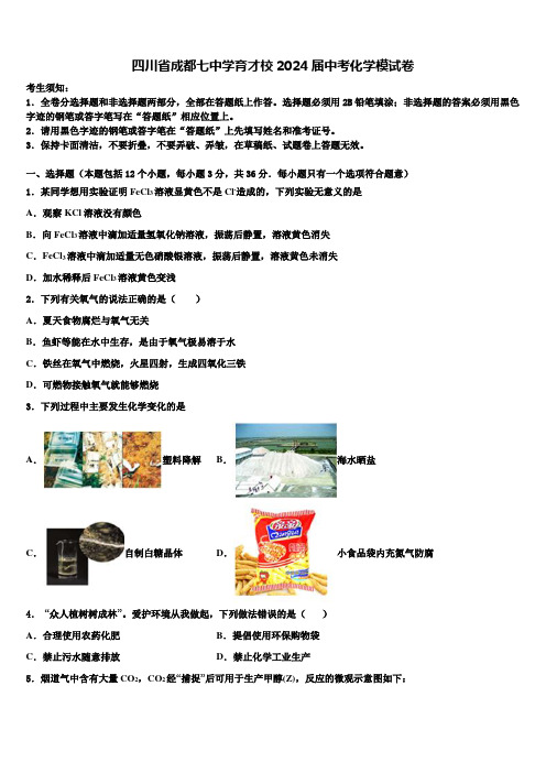 四川省成都七中学育才校2024届中考化学模试卷含解析