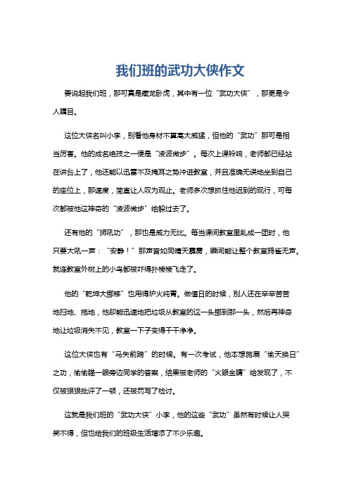 我们班的武功大侠作文