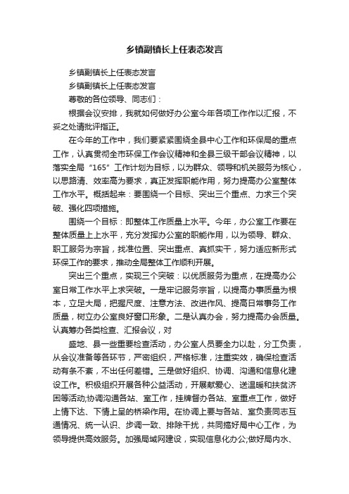 乡镇副镇长上任表态发言