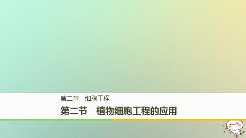 2017-2018学期高中生物 第二章 细胞工程 2.2 植物细胞工程的应用 苏教版选修3