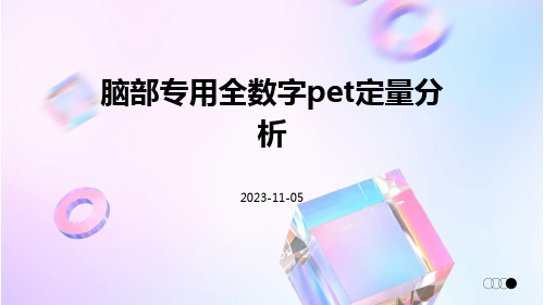 脑部专用全数字PET定量分析