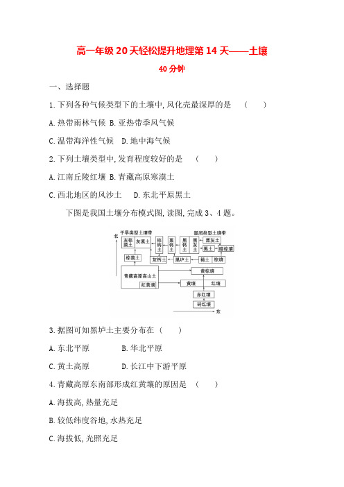 高一轻松寒假天提升作业适用高一新教材地理第天——土壤