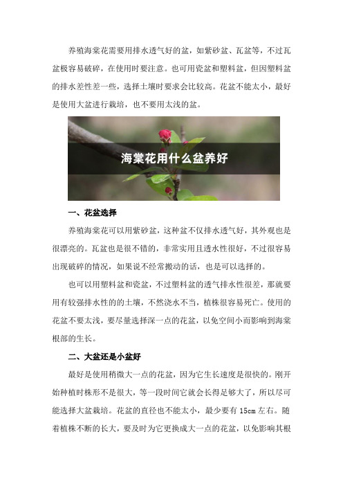 海棠花用什么盆养,大盆还是小盆好？