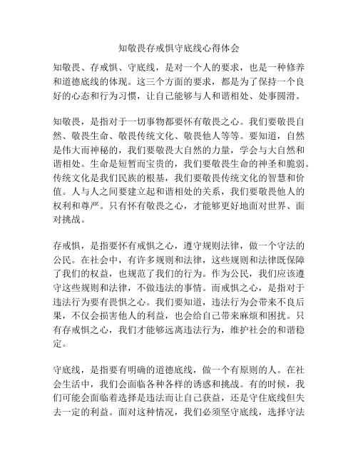 知敬畏存戒惧守底线心得体会