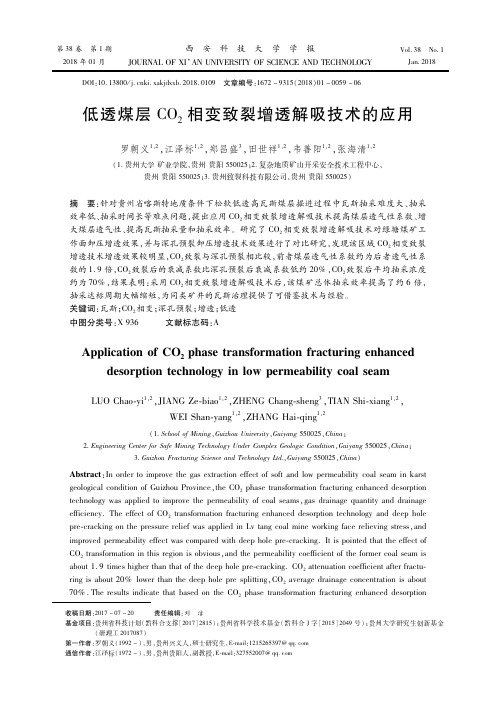 低透煤层CO2相变致裂增透解吸技术的应用