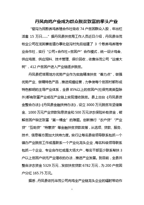 丹凤肉鸡产业成为群众脱贫致富的拳头产业