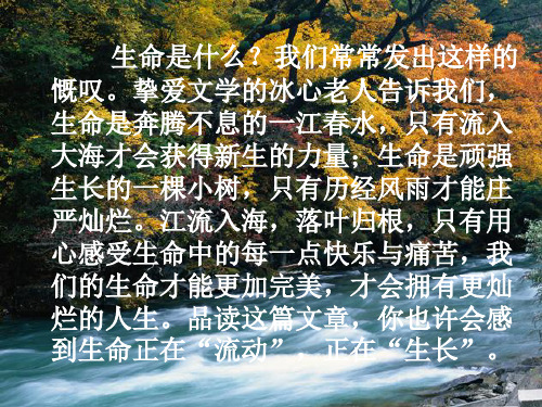 谈生命课件