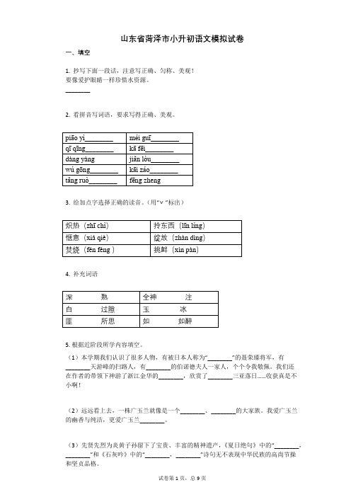 山东省菏泽市小升初语文模拟试卷有答案