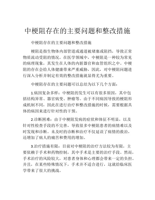 中梗阻存在的主要问题和整改措施