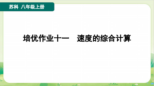 2024年苏科版八年级上册物理培优作业十一 速度的综合计算