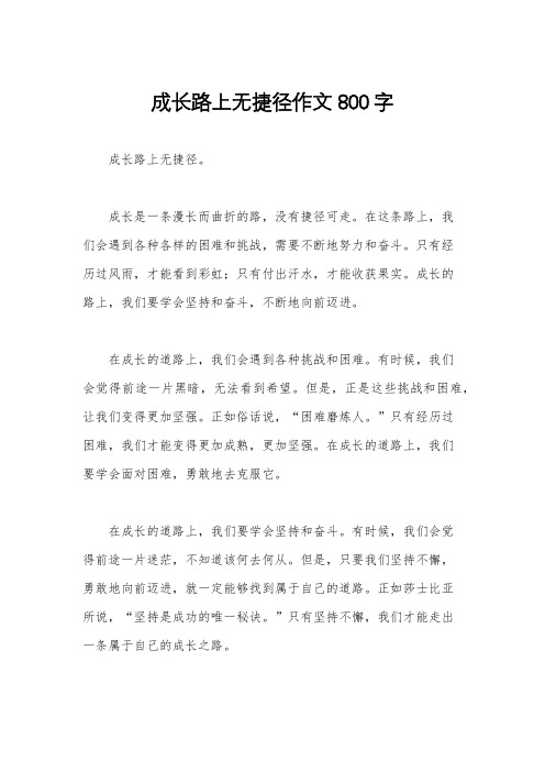 成长路上无捷径作文800字