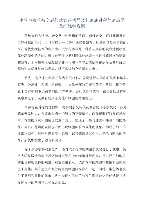 建兰与寒兰杂交后代试管花诱导及其形成过程的形态学及细胞学观察