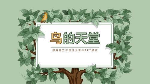 《鸟的天堂》PPT课文课件