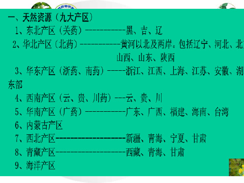 第八章 根和根茎类生药的鉴定