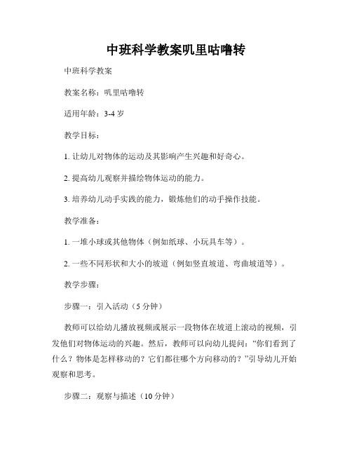 中班科学教案叽里咕噜转