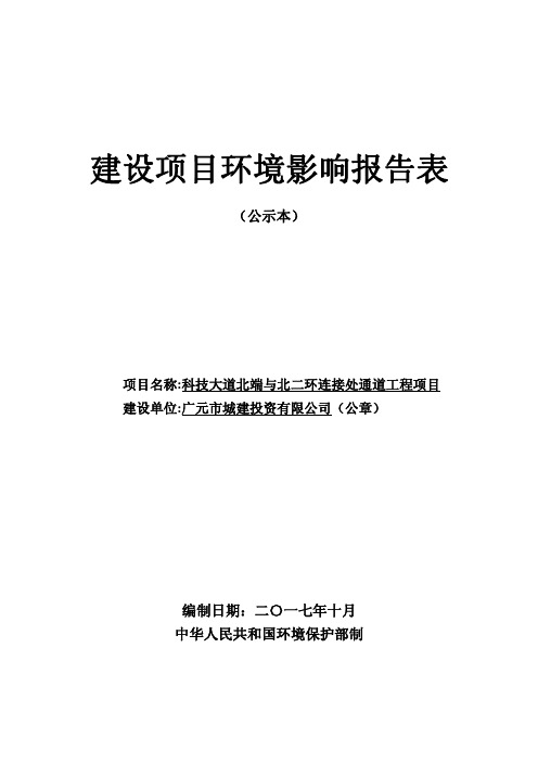 科技大道北端与北二环连接处通道工程项目环评报告