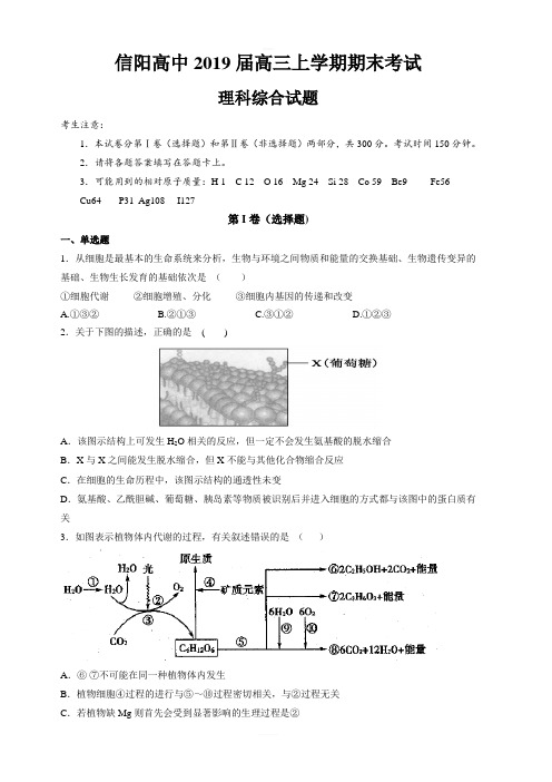 河南省信阳高级中学2019届高三上学期期末考试理科综合试题(含答案)