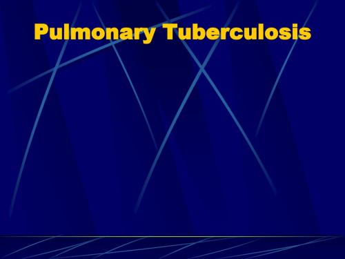 肺结核英文讲稿PPT专业课件
