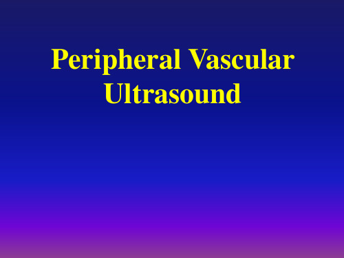 超声诊断学 下肢血管-英文