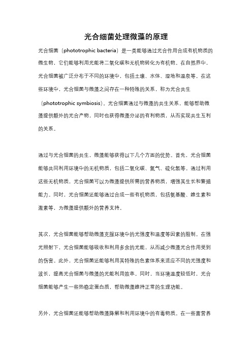 光合细菌处理微藻的原理