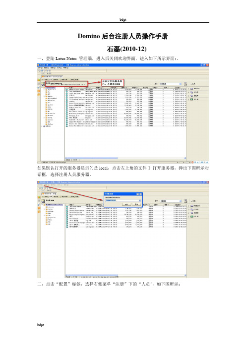 Domino后台注册人员指导手册