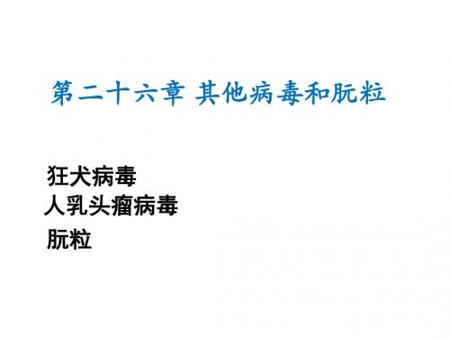 微生物课件 26 其他病毒及朊粒