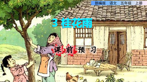 部编版五年级语文上册第3课 桂花雨