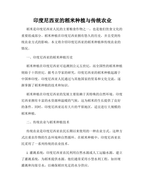 印度尼西亚的稻米种植与传统农业