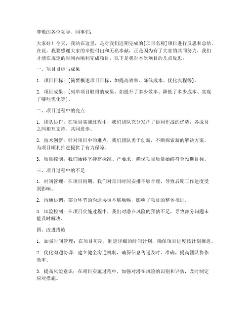 项目反思发言材料模板范文