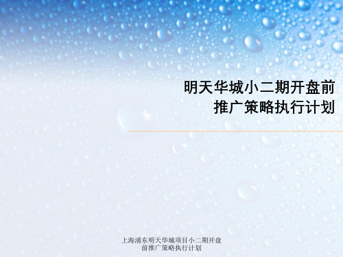 上海浦东明天华城项目小二期开盘前推广策略执行计划