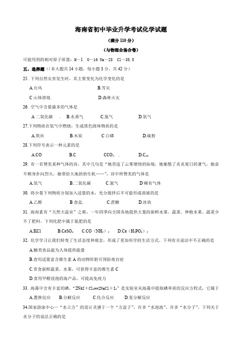 海南省初中毕业升学考试(化学部分).doc