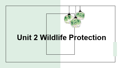 新人教版必修第二册 unit 2 wildlife protection words单词及详解课件