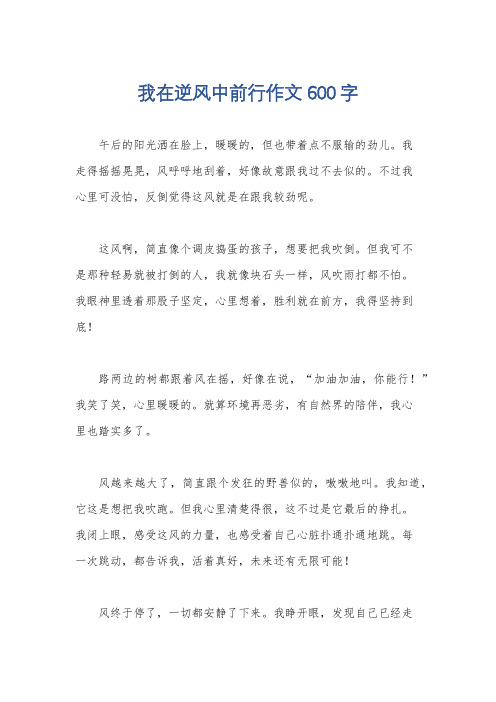 我在逆风中前行作文600字