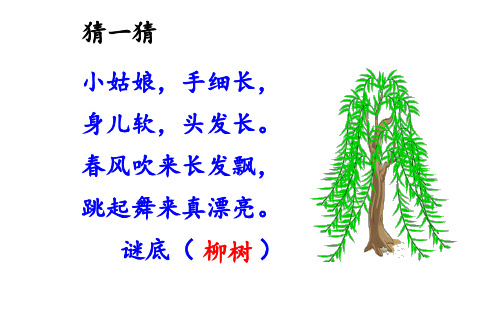 1.古诗二首——《咏柳》【字+课文】