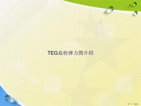 TEG血栓弹力图介绍讲课文档