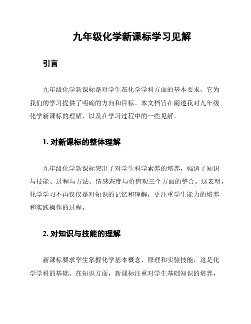 九年级化学新课标学习见解