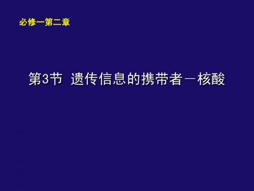 人教版教学课件[名校联盟]辽宁省大连市十四中高中生物 遗传信息的携带者核酸-问题探讨 课件(必修一)