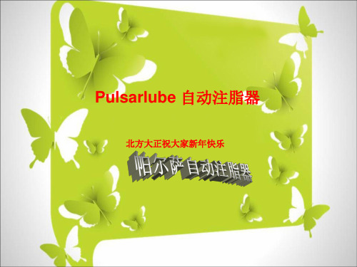 Pulsarlube 自动注脂器解析