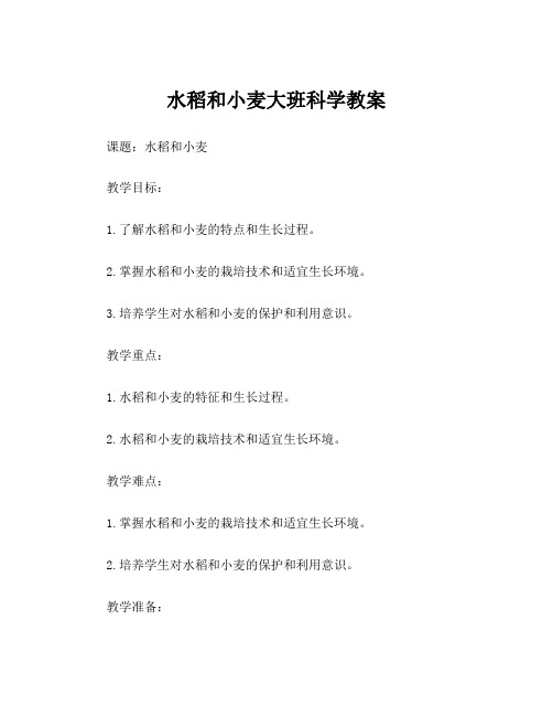 水稻和小麦大班科学教案