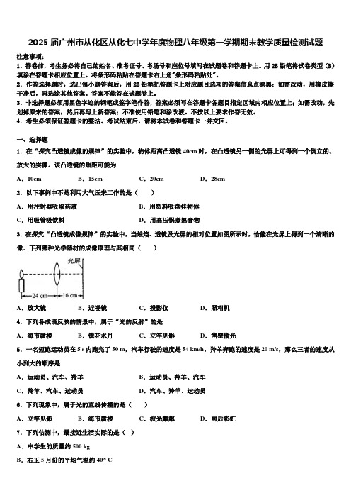 2025届广州市从化区从化七中学年度物理八年级第一学期期末教学质量检测试题含解析