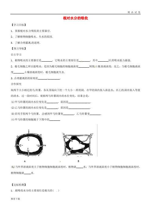 2019八年级生物上册 3.2.2根对水分的吸收学案(无答案)(新版)冀教版