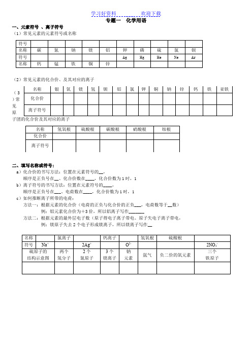 中考化学复习学案专题 化学用语