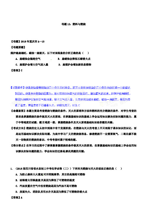 中考化学第一轮复习专题12燃料与燃烧(解析版)