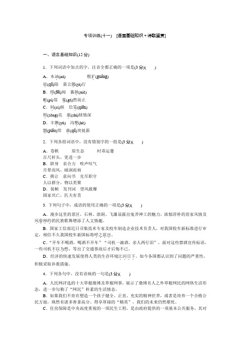 语文二轮复习专项训练(11):诗歌鉴赏 Word版缺答案.doc