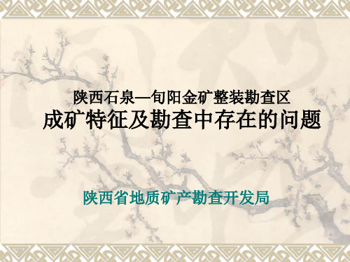 陕西石泉—旬阳金矿整装区成矿特征与勘查中存在的问题