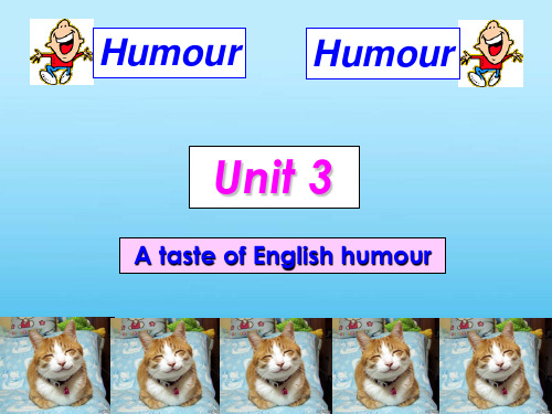 高中英语必修4-Unit3-A-taste-of-English-humour课件(人教新课标)