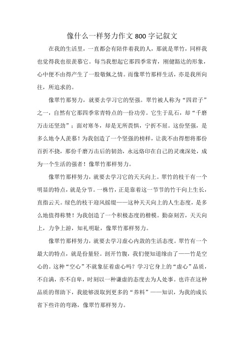 像什么一样努力作文800字记叙文