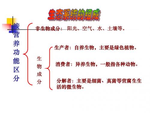 八年级生物下册6[1].2《食物链和食物网》济南版